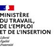 Ministère du travail, de l'emploi et de l'insertion