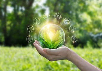 Consultations du CSE : avez-vous intégré la dimension environnementale ?