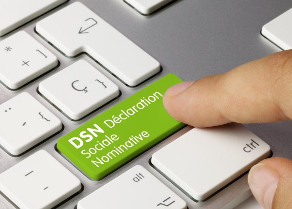 Formation La DSN mensuelle : structure, blocs, cohérence bulletin-DSN